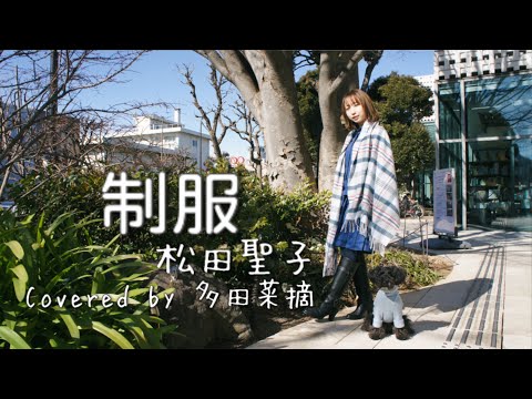 【歌ってみた】制服／松田聖子　Covered by 多田菜摘