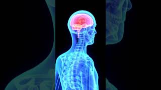 Sapevi di avere un computer sempre a portata di... Testa! Il cervello è più potente di quanto PENSI