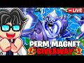 PERMANENT MAGNET GIVEAWAY + Obtaining COMBAT V2 Blox Fruits (Live)