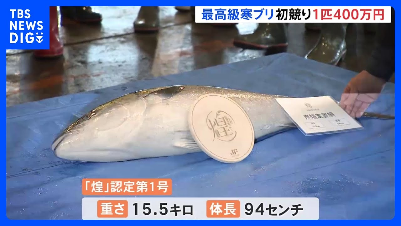 15.5キロ、94センチの寒ブリ1匹400万円！新たな最高級ブランド「煌」の