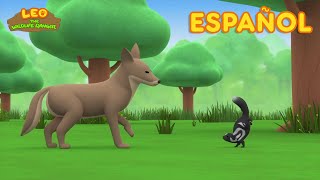 La Mofeta Moteada Oriental (Español) - Leo, El Explorador Episodio | Animación - Familia - Niños