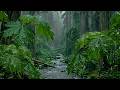 Relaxing Rain in the Forest 🌧️ Natural Rain Sounds on Tree Leaves | Sleep Deeply and Relax
