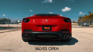 Huge Sound by Capristo on Ferrari Portofino. Revs Valve sound on and more stuff