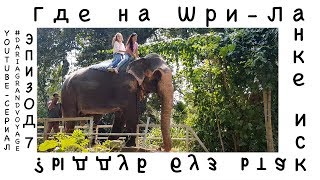 VLOG №7. Чем заняться и куда пойти на Шри-Ланке