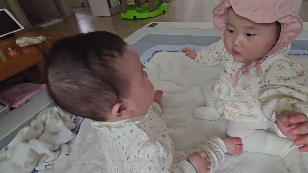 지니의 기싸움~ㅋ