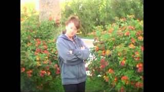 R�Ya Avsar