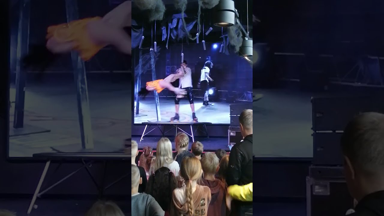 Amazingly Beautiful Performance By Demidov Circus Artists At Picture S 