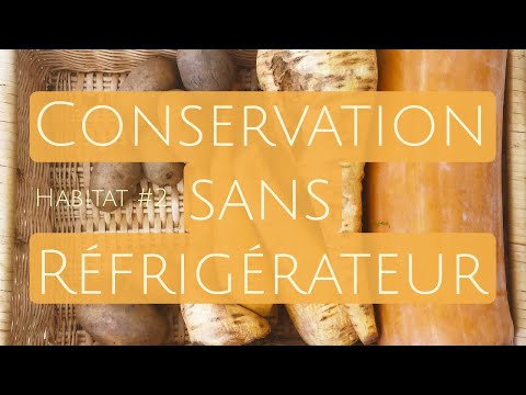 Vidéo: Comment Conserver Les Aliments Sans Réfrigérateur
