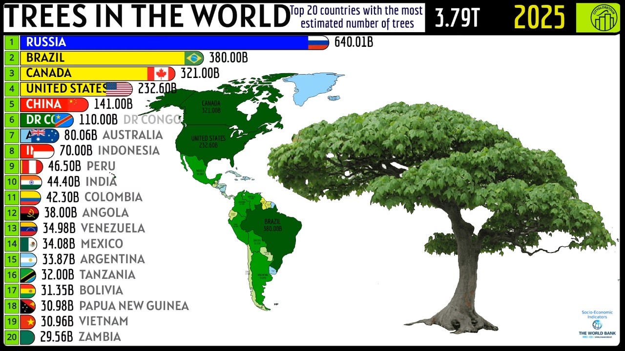 TOP 20 COUNTRIES WITH THE MOST ESTIMATED NUMBER OF TREES - YouTube
