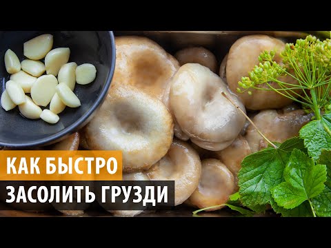 КАК СОЛИТЬ ГРУЗДИ БЫСТРО И ВКУСНО! Грузди соленые - простой и проверенный рецепт