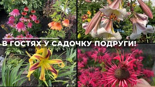 картинка: В гостях у садочку подруги!