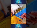 Marea Păcăleală