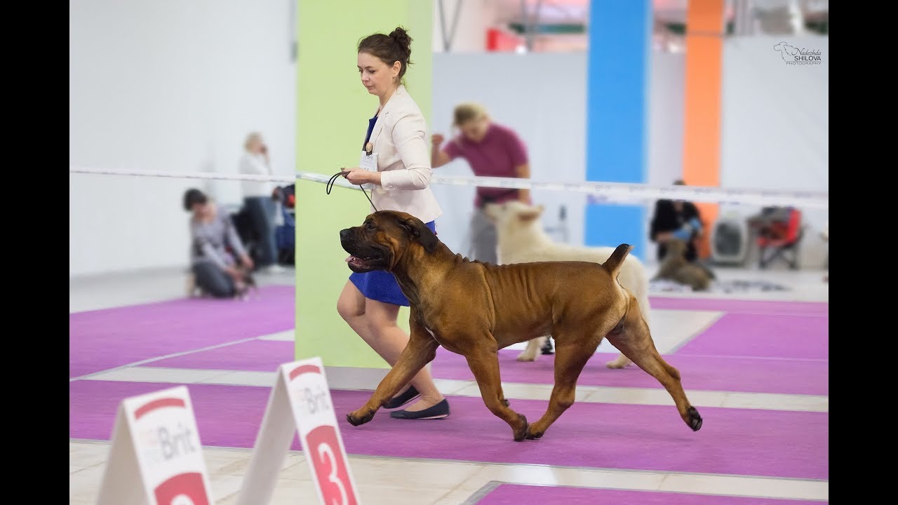 свобода без ограничений вельд. свобода без ограничений вельд. свобода арт. просвет арт-студия краснодаре. свобода вперед.