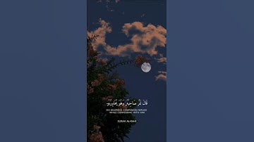 تلاوة مباركة خاشعة بصوت يلامس القلوب #اكسبلور #المصحف #حالات_واتس #القران #خطبه #راحة_نفسية #دويتو