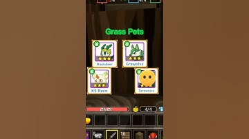 Trainers Arena Facts Part 5 #shorts #blockmango #trainersarena