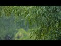 Stress relief music relaxing cool relaxingmusic rainyday relaxingsounds  relaxing