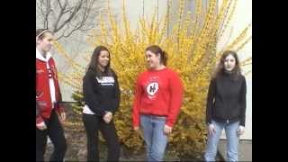 German Video 2010.wmv