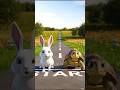 खरगोश और कछुए की दौड़#shorts #ytshorts #trending #sun cartoon video 2.0