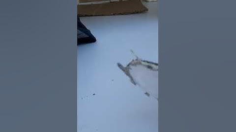 posting random videos in my camera roll day 2