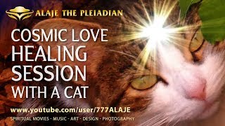 Alaje The Pleiadian - Cosmic Love Healing Session With A Cat