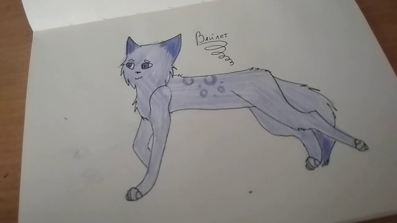 Идеи для рисунков в скетчбуке коты воители