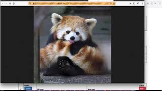 how to crawl facebook with selenium and python