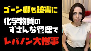 【ゴーン邸も被害に】化学物質のずさんな管理でレバノン大惨事！