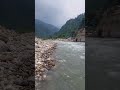 Sometimes silence is the best attitude.. #trendingshorts  #trwnding #trending #shorts #youtubeshorts
