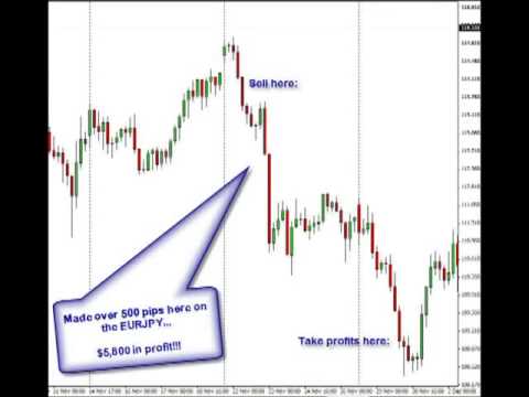 Forex fury forex shop