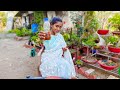 Bio-enzyme | Prakriti's Garden