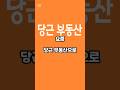 저는 당근부동산 안써요!