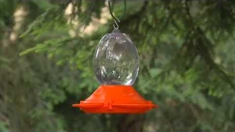 Perky-Pet® Oriole Feeder Instructional Video | Oriole Feeder