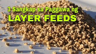 3 Sangkap sa paggawa ng Layer Feeds