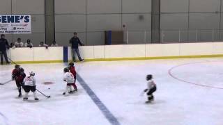 20150117 Reds vs White Almost Full ice 5