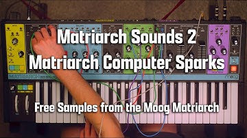 Computer Sparks - Free Moog Matriarch Samples!
