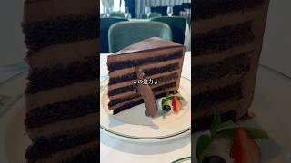 【NEW】巨大チョコケーキを1人で平らげる日のvlog【銀座】