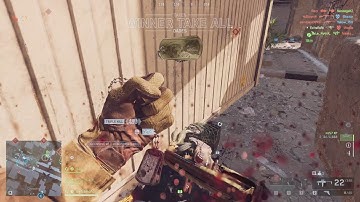 Bugs, shoty and dog tags