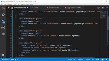 Angular Forms Tutorial   6   Binding Data to a Model