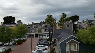 Lakeshore Landing | Mooring A | 1 Bedroom 1 Bathroom w/ Den 653 sqft (21-308) at San Mateo CA 94403