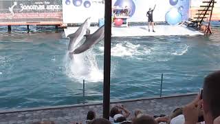 Анапский дельфинарий(Большой Утриш)(HD)