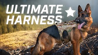 Ultimate Harness  Canine Duty Harness
