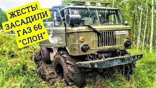 КАК ПРОЕХАТЬ ПО ТАКОМУ БЕЗДОРОЖЬЮ? ГАЗ 66 ШИШИГА "СЛОН"! ТАКОГО НИКТО НЕ ОЖИДАЛ!