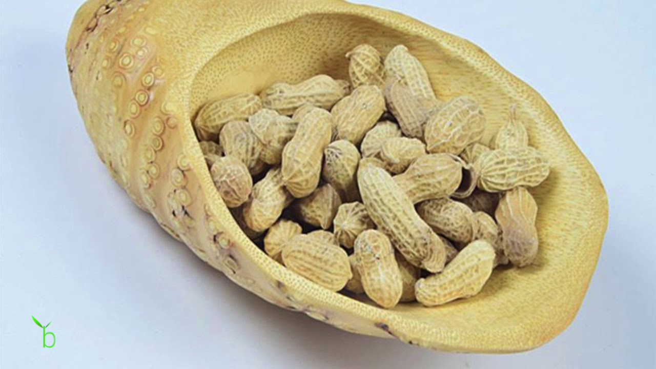 Bamboo Fruit Dish YouTube