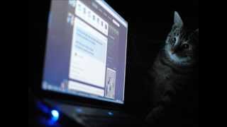 U Not Famouz Tho Jamjars Leak