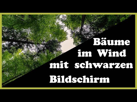 10 Stunden Blätter im Wind Black Screen ruhiges rascheln zum Meditieren, Entspannen und Einschlafen