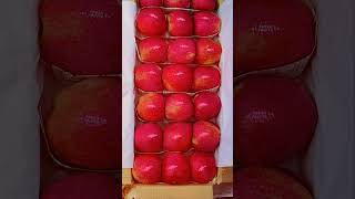 "🍎 Apple lovers ke liye nayi tech vibes! Kya aap ready ho? 🔥 #AppleAddict #TechVibes "