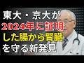 日本人8人に1人が危険！沈黙の臓器・腎臓が壊れる本当の理由と回復習慣 | 医師が明かす