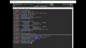 How to use hash function with kali linux