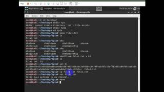 How to use hash function with kali linux