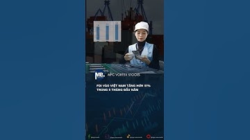 🔻FDI vào Việt Nam tăng hơn 51% trong 5 tháng đầu năm